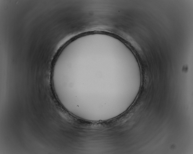 X0000100781316200807171433