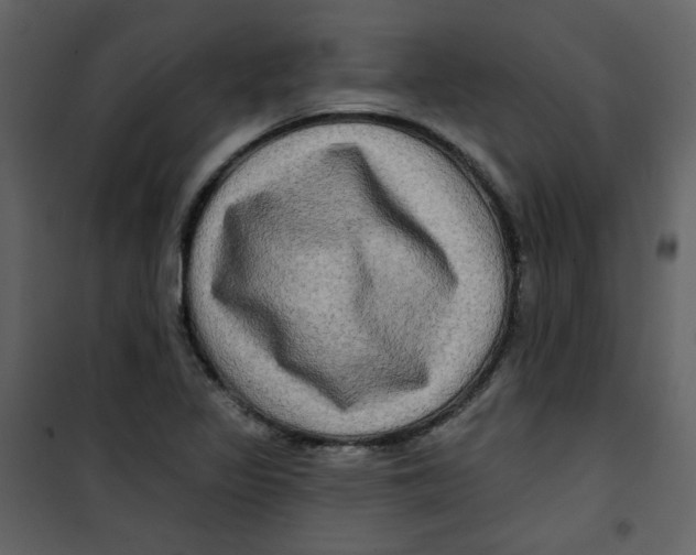 X0000100781317200807171433