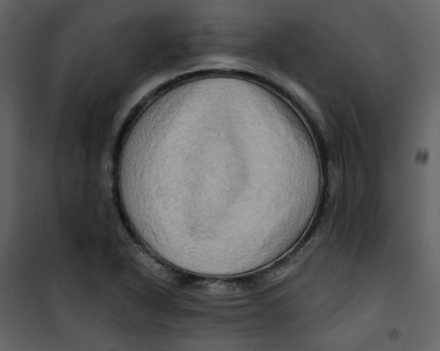 X0000100781318200807171433