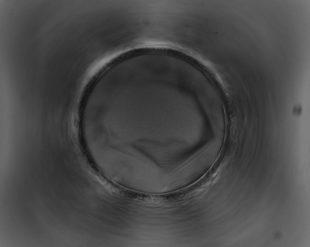 X0000100781319200807171433