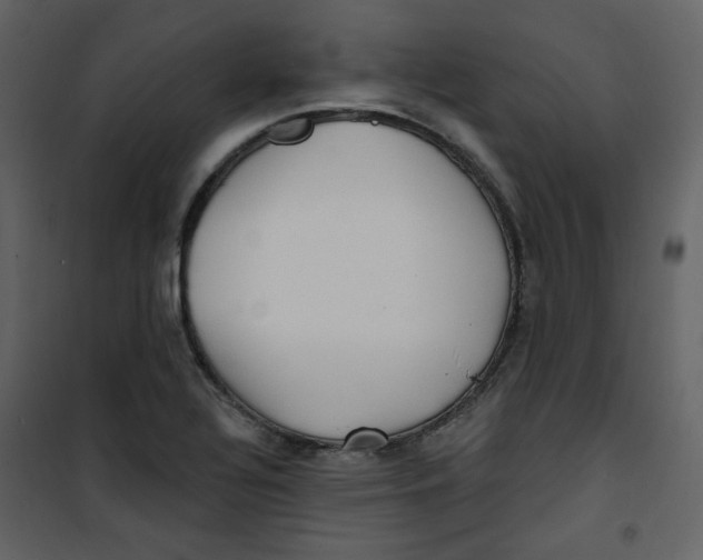 X0000100781320200807171433