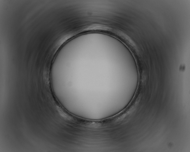 X0000100781321200807171433