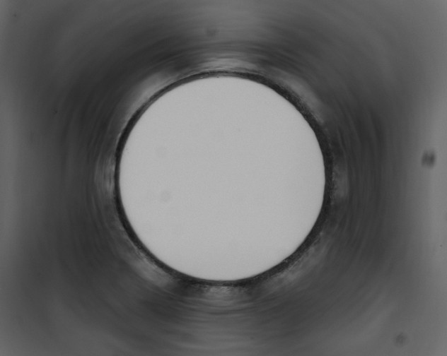 X0000100781322200807171433