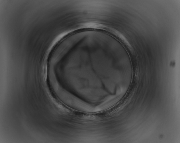 X0000100781323200807171433