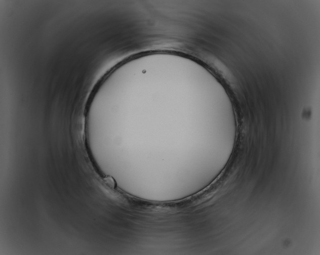 X0000100781324200807171433