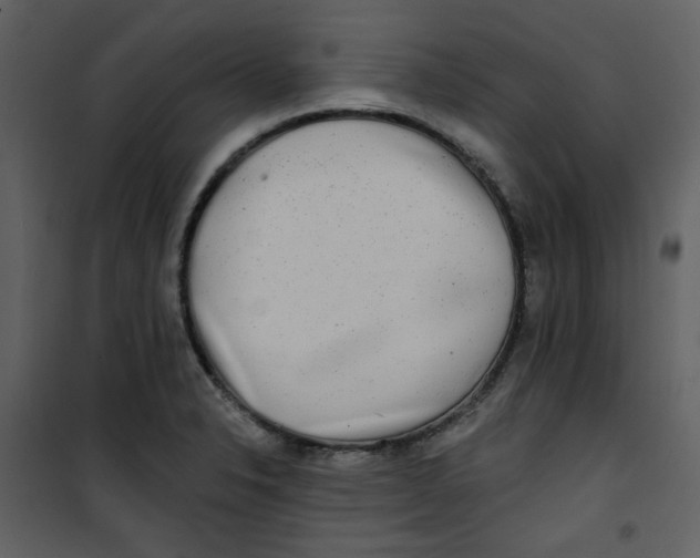 X0000100781326200807171433