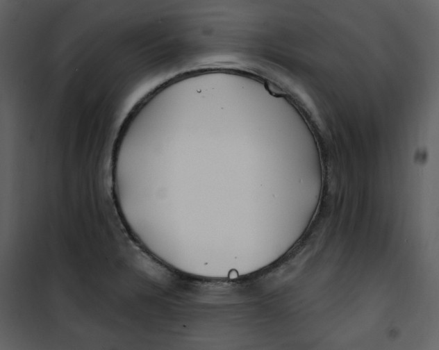 X0000100781328200807171433