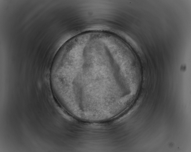X0000100781329200807171433