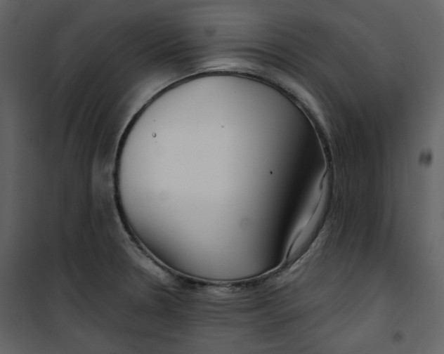 X0000100781330200807171433