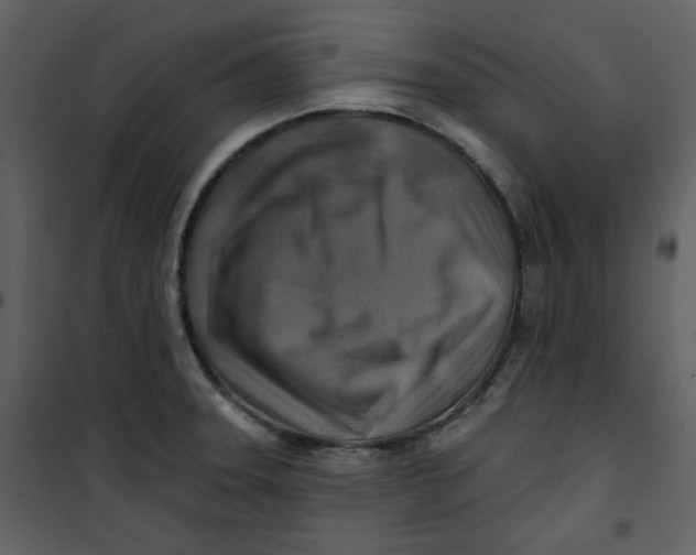 X0000100781331200807171433