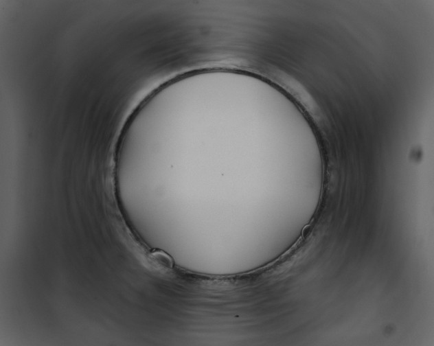 X0000100781332200807171433