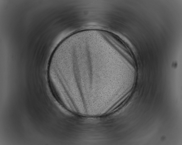 X0000100781333200807171433