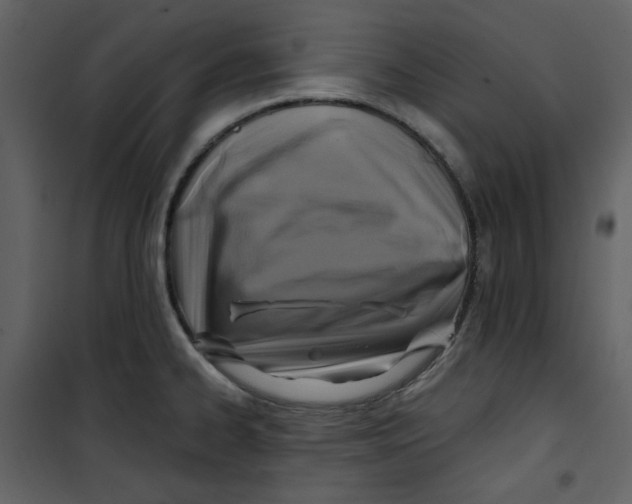 X0000100781334200807171433