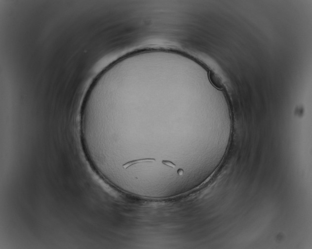 X0000100781335200807171433