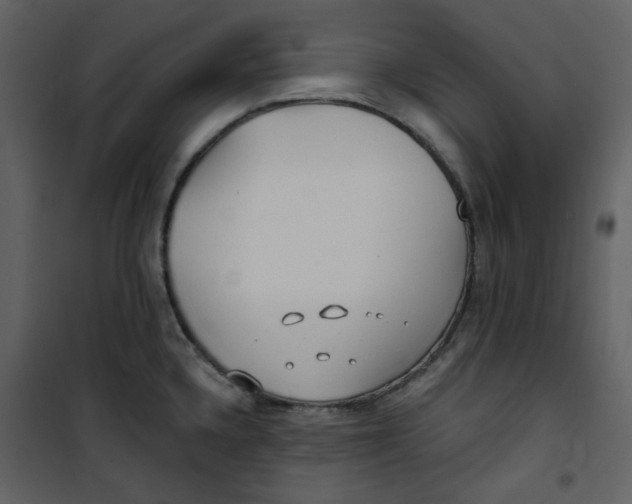 X0000100781336200807171433