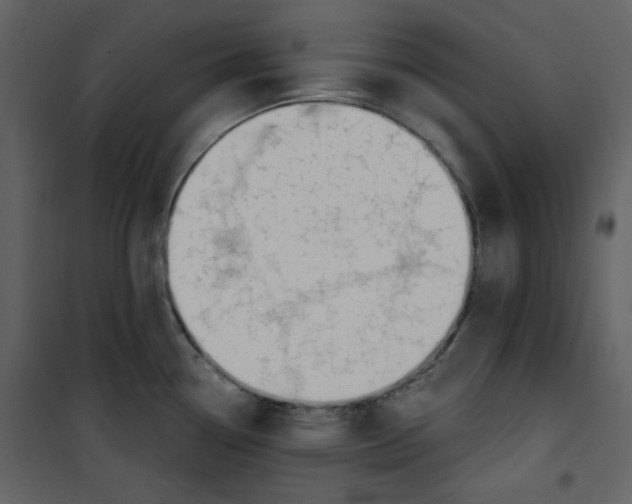 X0000100781338200807171433