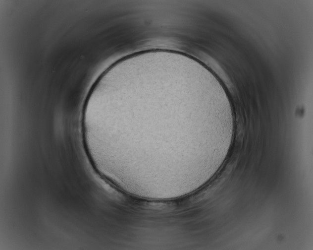 X0000100781339200807171433