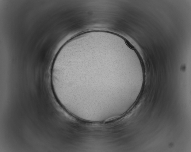 X0000100781341200807171433