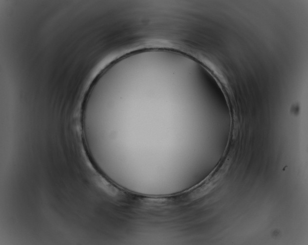 X0000100781342200807171433
