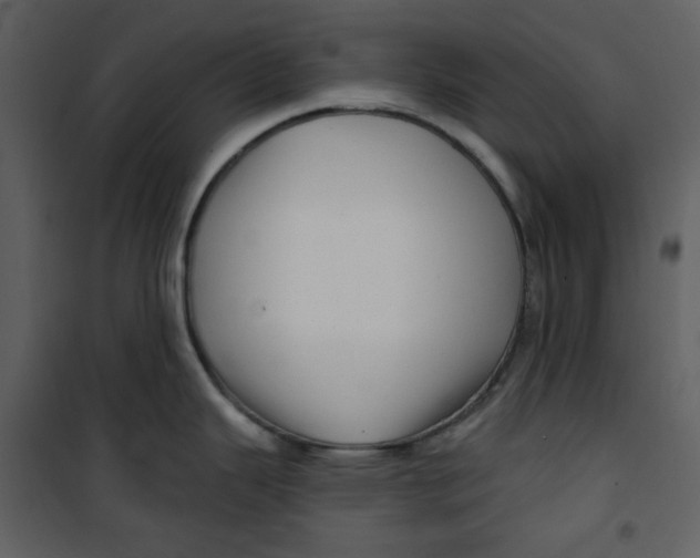 X0000100781343200807171433