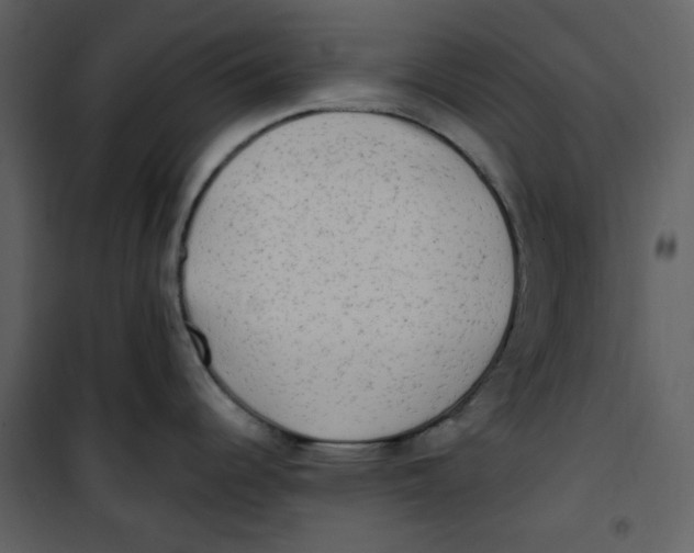 X0000100781344200807171433