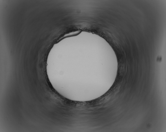 X0000100781345200807171433