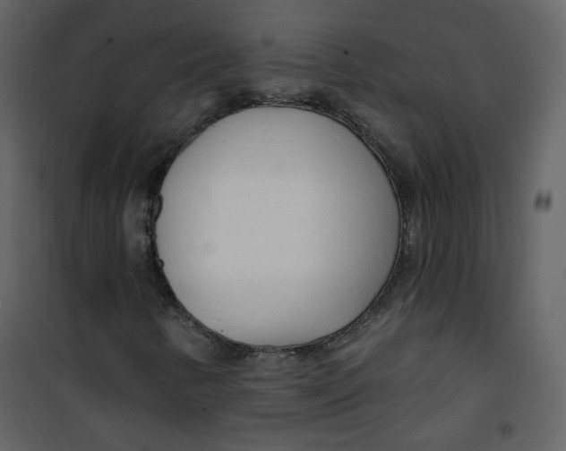 X0000100781346200807171433