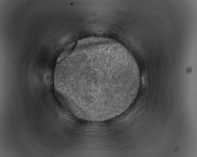 X0000100781347200807171433