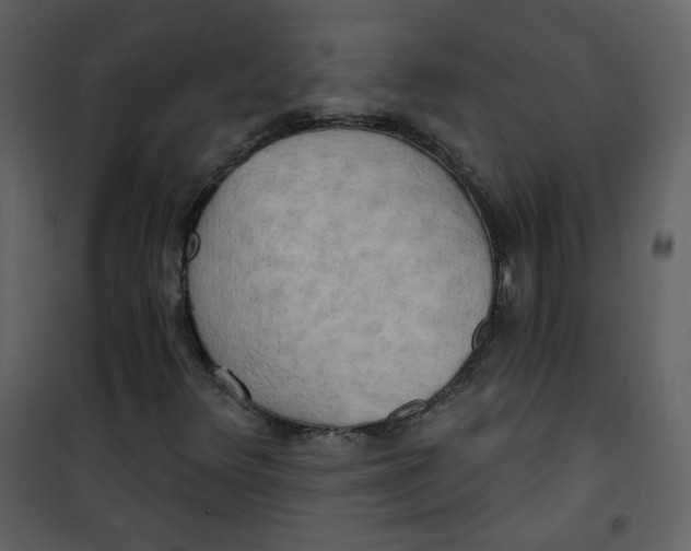 X0000100781348200807171433