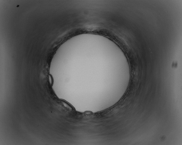 X0000100781349200807171433