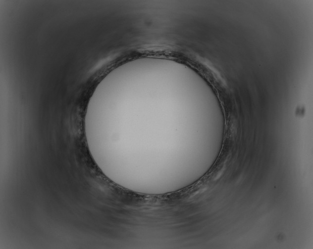 X0000100781350200807171432