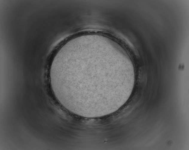 X0000100781352200807171432