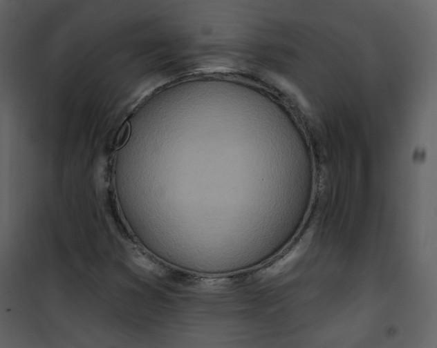 X0000100781353200807171432