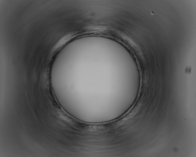 X0000100781354200807171432