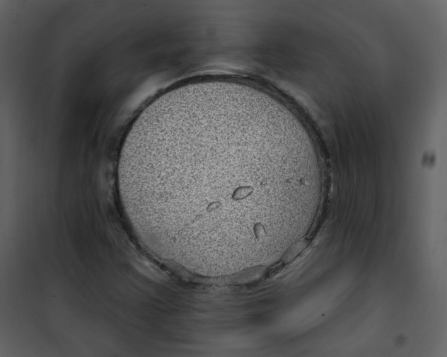 X0000100781355200807171432