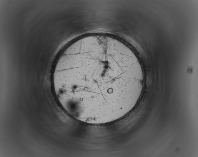 X0000100781356200807171432