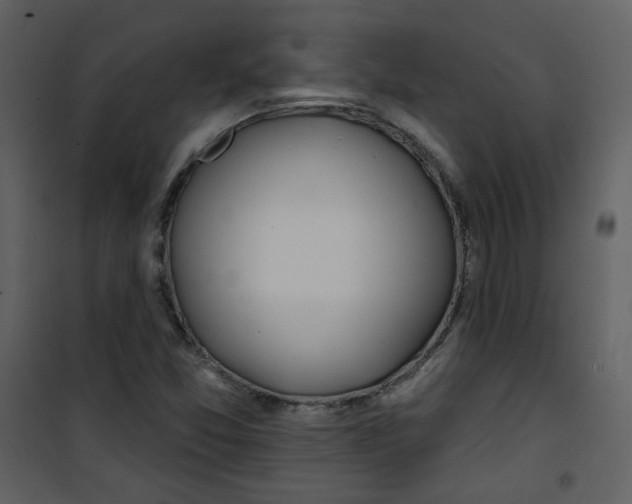 X0000100781357200807171432