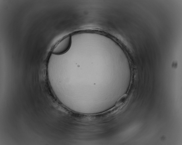 X0000100781358200807171432