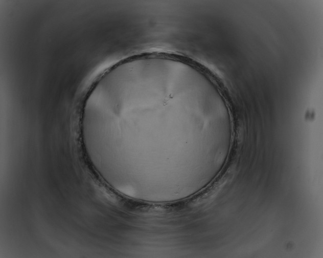 X0000100781359200807171432