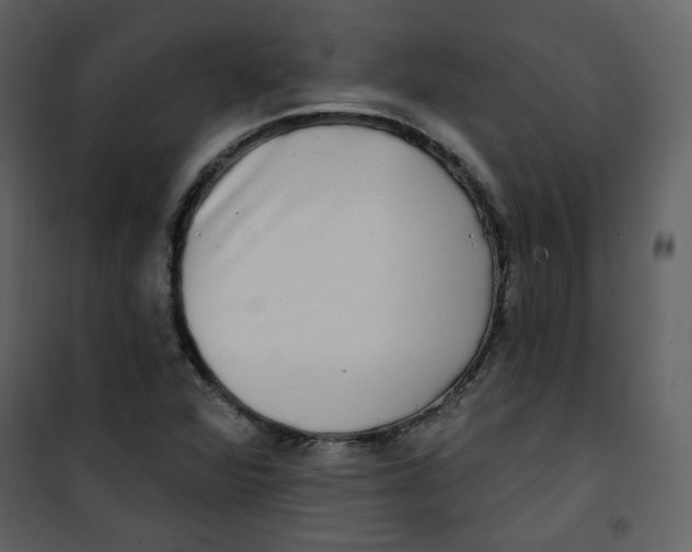 X0000100781360200807171432