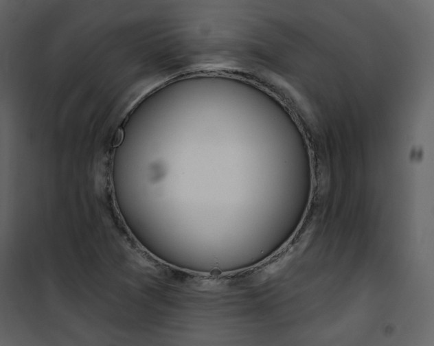 X0000100781361200807171432