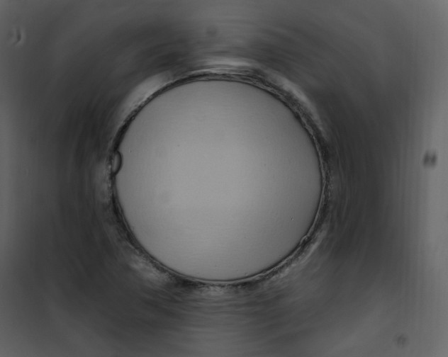 X0000100781362200807171432