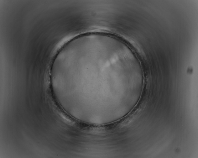 X0000100781363200807171432