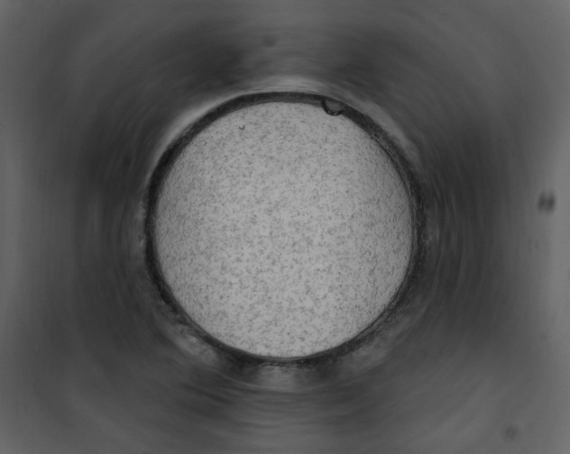 X0000100781364200807171432