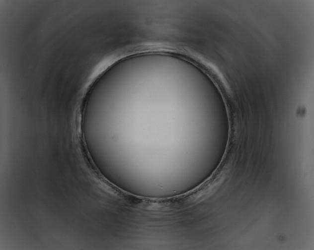 X0000100781365200807171432