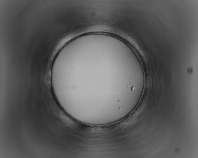 X0000100781366200807171432