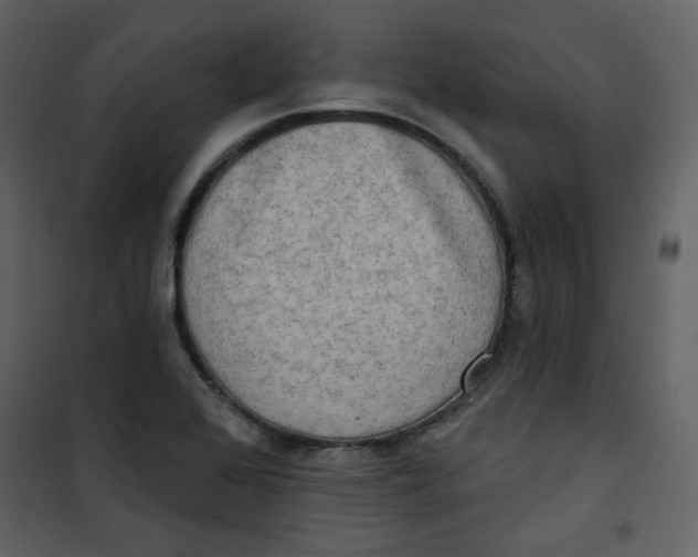 X0000100781368200807171432