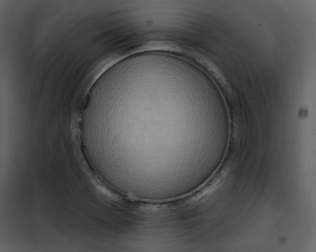 X0000100781369200807171432