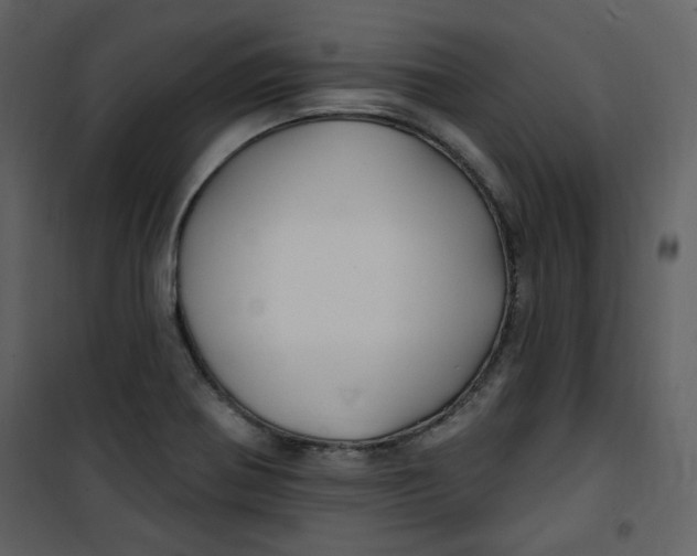 X0000100781370200807171432