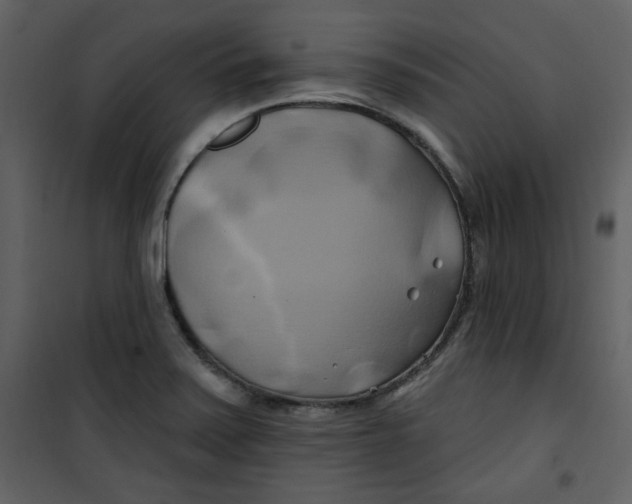 X0000100781371200807171432